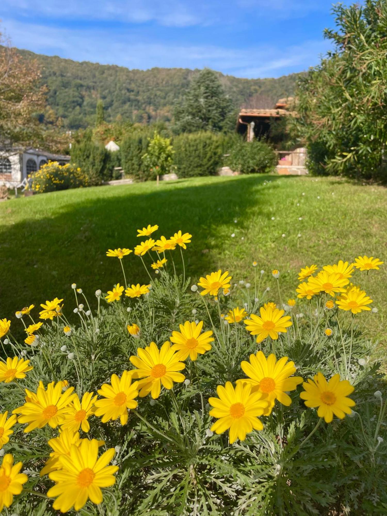 Agriturismo Le Grotte Неми Экстерьер фото